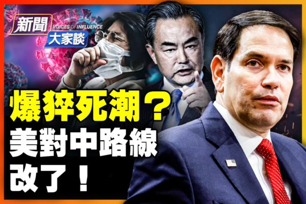 维尼修斯